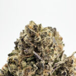 Bubblegum Strain District Connect dmv weed delivery