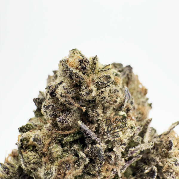 Bubblegum Strain District Connect dmv weed delivery