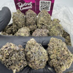 Purple Gelato Strain District Connect rva weed delivery