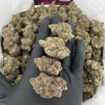 Purple Mendo Kush Strain District Connect rva weed delivery