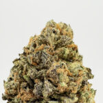 Birthday Cake Kush Strain District Connect Richmond weed delivery