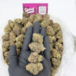 Birthday Cake Kush Strain District Connect DMV weed delivery
