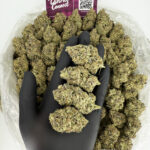 Purple Sprite Strain District Connect Maryland weed delivery