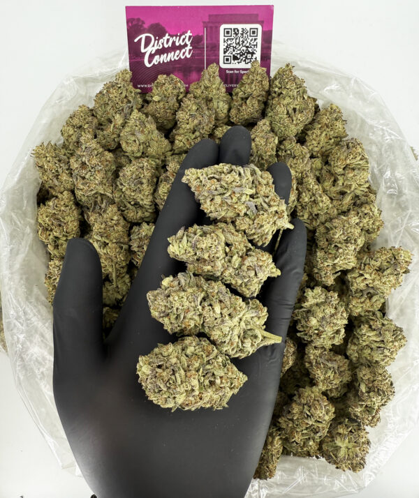 Purple Sprite Strain District Connect Maryland weed delivery