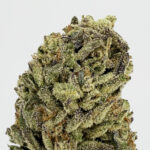 Purple Sprite Strain District Connect Virginia weed delivery
