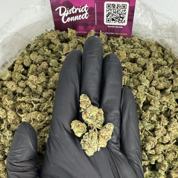 Crystal Gelato Strain District Connect washington dc weed delivery