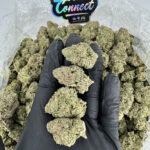 Hard Candy Strain District Connect maryland weed delivery