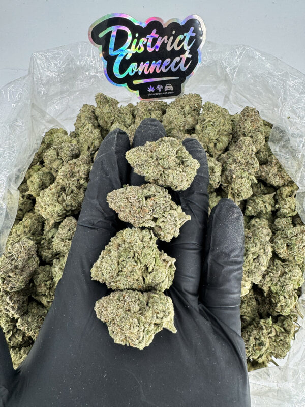 Hard Candy Strain District Connect maryland weed delivery