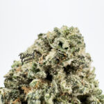 Hard Candy Strain District Connect dmv weed delivery