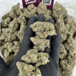 Laughing Elephant Strain District Connect rva weed delivery