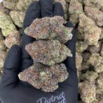 Lemonhead-strain-district-connect-washington-dc-weed-delivery