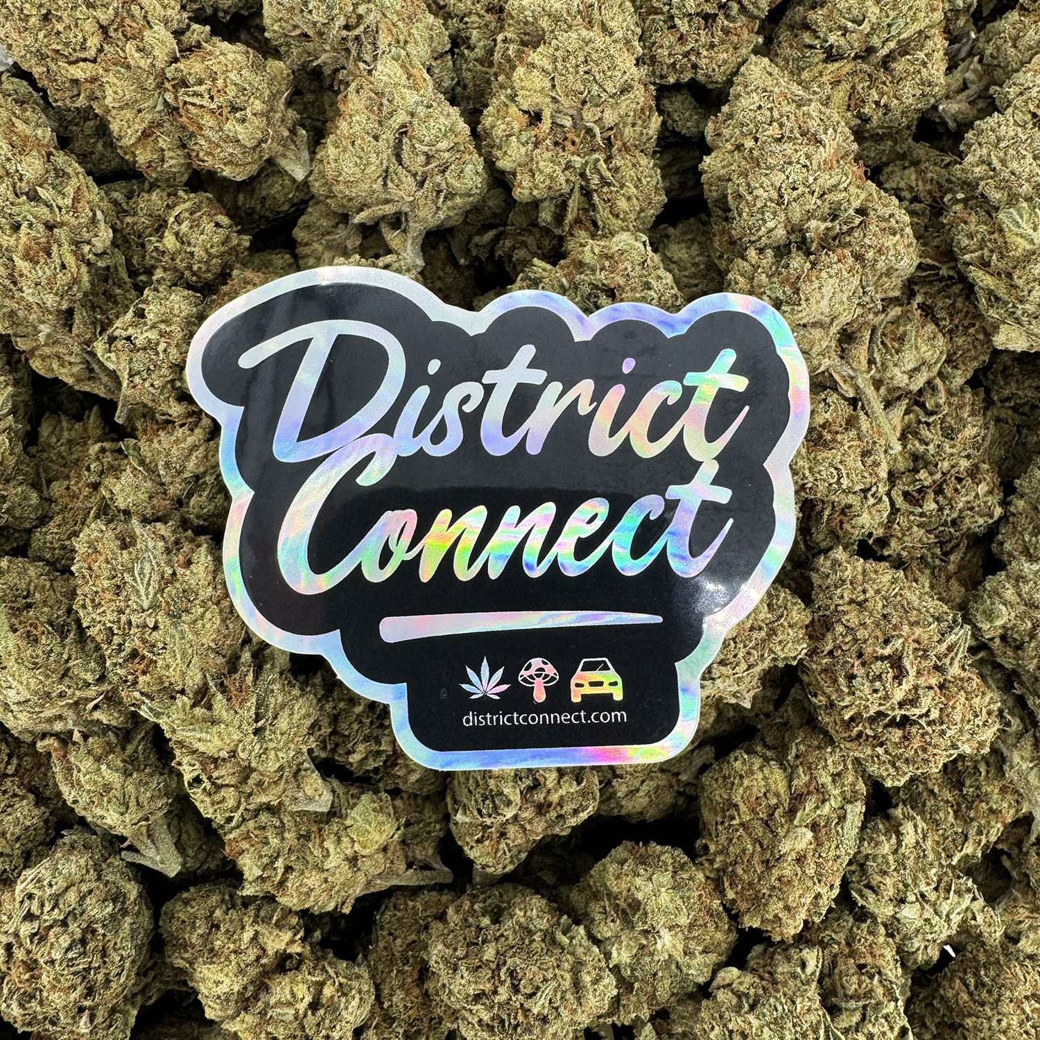 Og kush Strain District Connect washington dc weed delivery