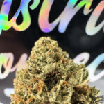 Og kush Strain District Connect dmv weed delivery