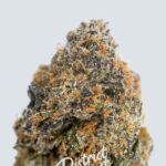 Lemonhead-strain-district-connect-washington-dc-weed-delivery