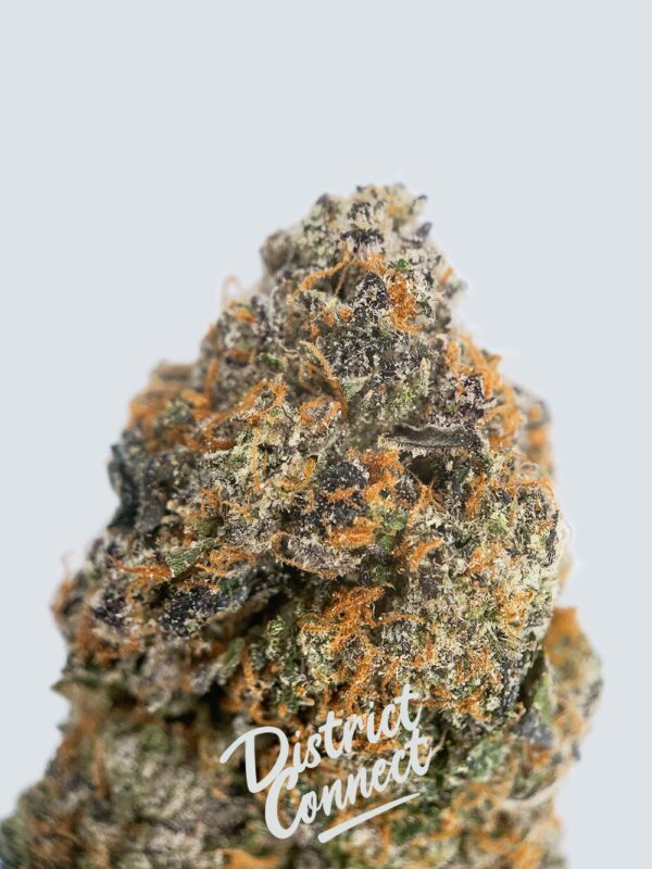 Lemonhead-strain-district-connect-washington-dc-weed-delivery