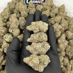 Platinum Truffle -strain-district-connect-washington-dc-weed-delivery