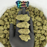 Bubba Kush-strain-district-connect-washington-dc-weed-delivery