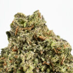 Bubba Kush-strain-district-connect-washington-dc-weed-delivery