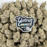 Slurricane-strain-district-connect-washington-dc-weed-delivery