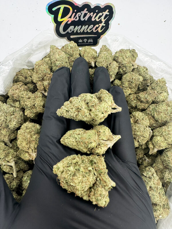 Girl Scout Wookies-strain-district-connect-washington-dc-weed-delivery