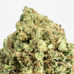 Girl Scout Wookies-strain-district-connect-washington-dc-weed-delivery