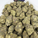 King Sherbert-strain-district-connect-washington-dc-weed-delivery