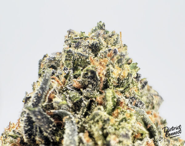 King Sherbert-strain-district-connect-washington-dc-weed-delivery