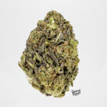 King Sherbert-strain-district-connect-washington-dc-weed-delivery