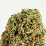 Sunset Gelato-strain-district-connect-washington-dc-weed-delivery
