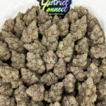 Off White Gelato-strain-district-connect-washington-dc-weed-delivery