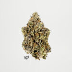 Off White Gelato-strain-district-connect-washington-dc-weed-delivery