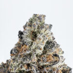 Off-White Gelato-strain-district-connect-washington-dc-weed-delivery