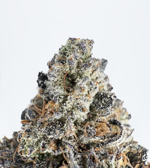 Off-White Gelato-strain-district-connect-washington-dc-weed-delivery