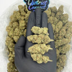 Sunset Gelato-strain-district-connect-washington-dc-weed-delivery