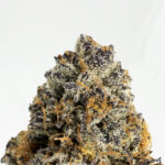 lemon Cookies -strain-district-connect-washington-dc-weed-delivery