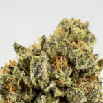 Now N Later -strain-district-connect-washington-dc-weed-delivery