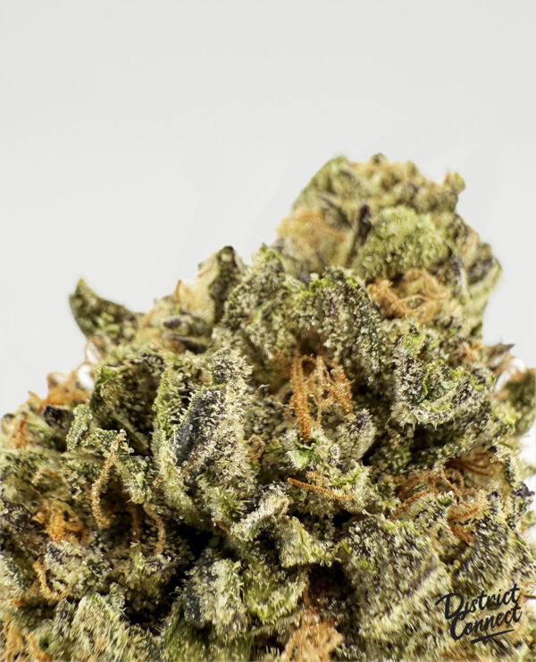 Now N Later -strain-district-connect-washington-dc-weed-delivery
