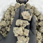 Pink Dior-strain-district-connect-washington-dc-weed-delivery