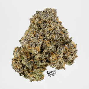 Queen Kong-strain-district-connect-washington-dc-weed-delivery