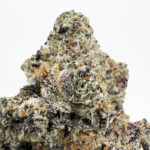 Bitch Slap-strain-district-connect-washington-dc-weed-delivery
