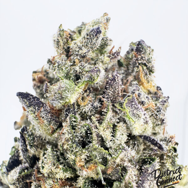 Pink Cookies-strain-district-connect-washington-dc-weed-delivery