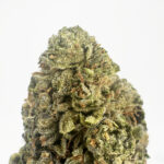 Wedding Gushers-strain-district-connect-washington-dc-weed-delivery
