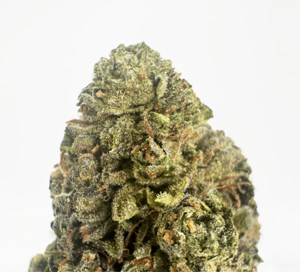 Wedding Gushers-strain-district-connect-washington-dc-weed-delivery