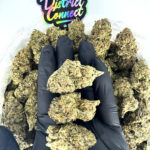 White Skunk-strain-district-connect-washington-dc-weed-delivery