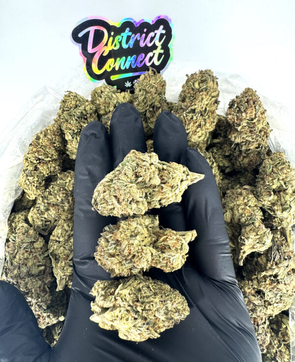 White Skunk-strain-district-connect-washington-dc-weed-delivery