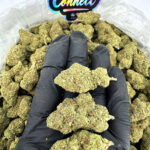 Blue Zkittlez-strain-district-connect-washington-dc-weed-delivery