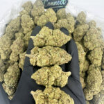 Wedding Gushers-strain-district-connect-washington-dc-weed-delivery