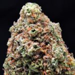 Rainbow Runtz hybrid cannabis strain with 18-25% THC for Washington DC, Virginia, Maryland, and Richmond VA weed delivery