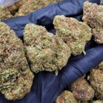 Rainbow Runtz hybrid cannabis strain with 18-25% THC for Washington DC, Virginia, Maryland, and Richmond VA weed delivery