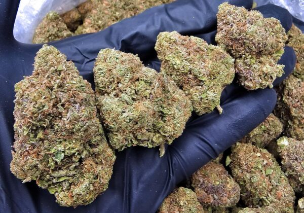 Rainbow Runtz hybrid cannabis strain with 18-25% THC for Washington DC, Virginia, Maryland, and Richmond VA weed delivery
